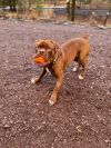 Doug photo 1