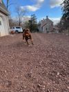 Doug
