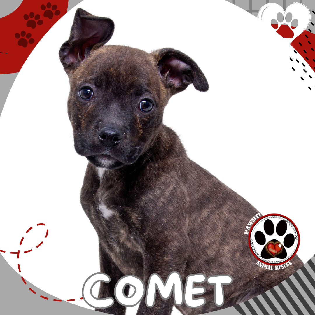 COMET