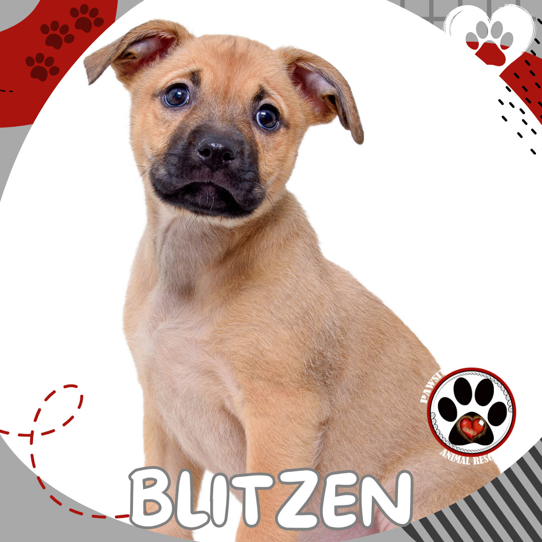 BLITZEN