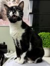 Tux photo 2
