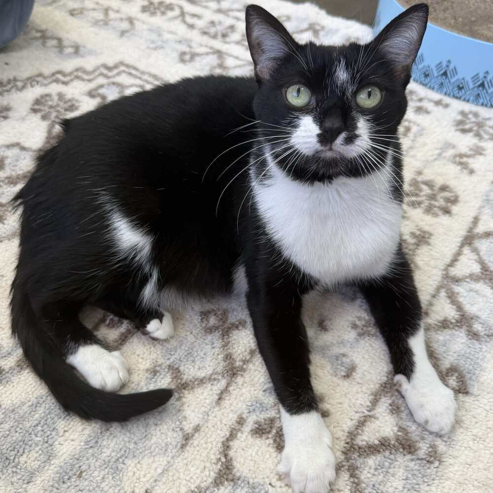 Tux