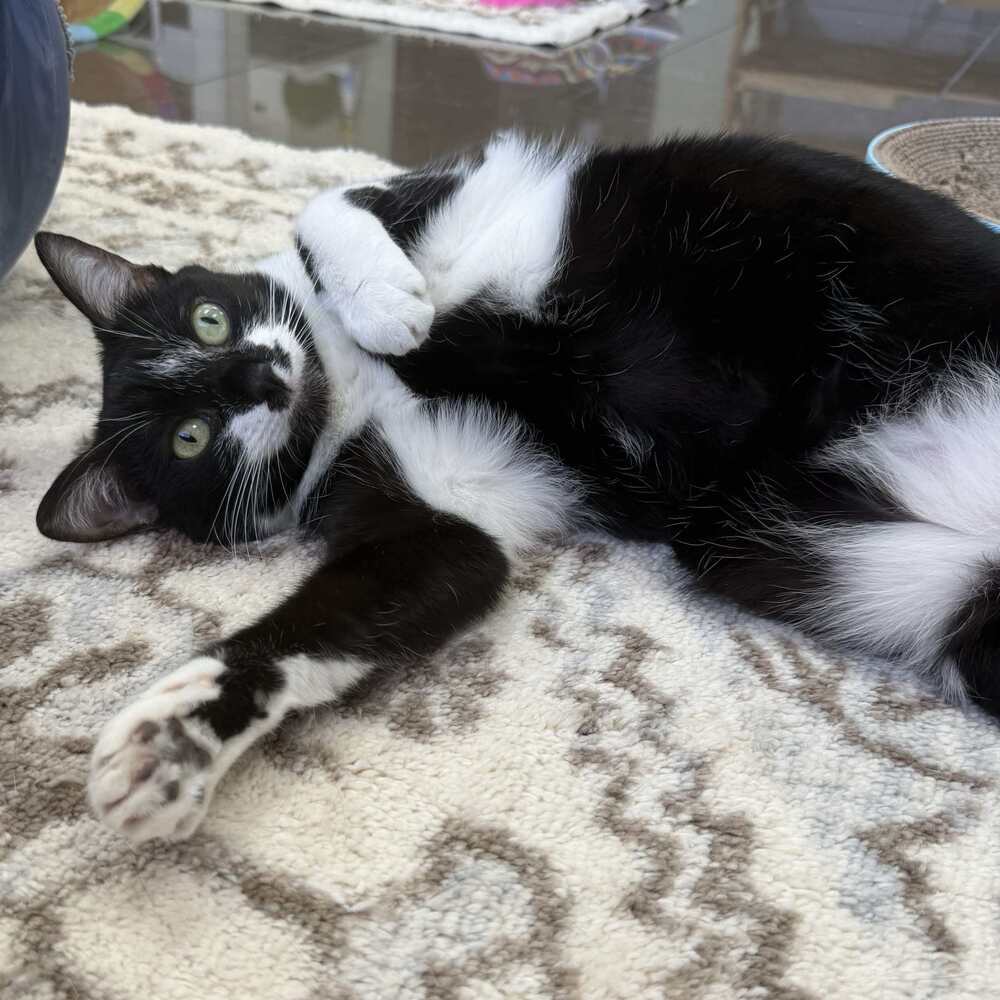 Tux