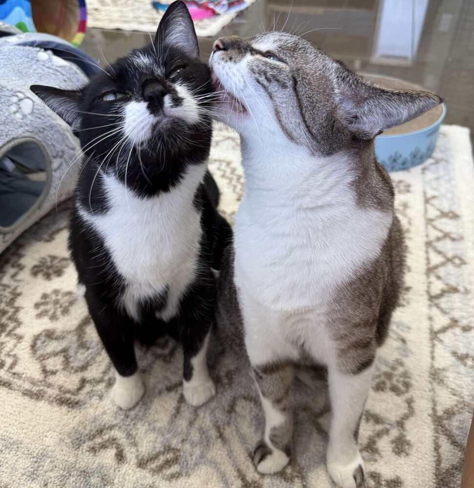 Tux
