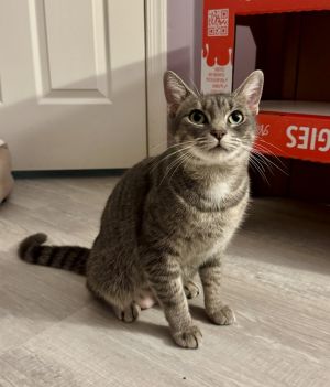 Momma Juice *Featured at the Pet Supplies Plus in Eldersburg, MD*
