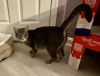 Momma Juice *Featured at the Pet Supplies Plus in Eldersburg, MD* photo 2