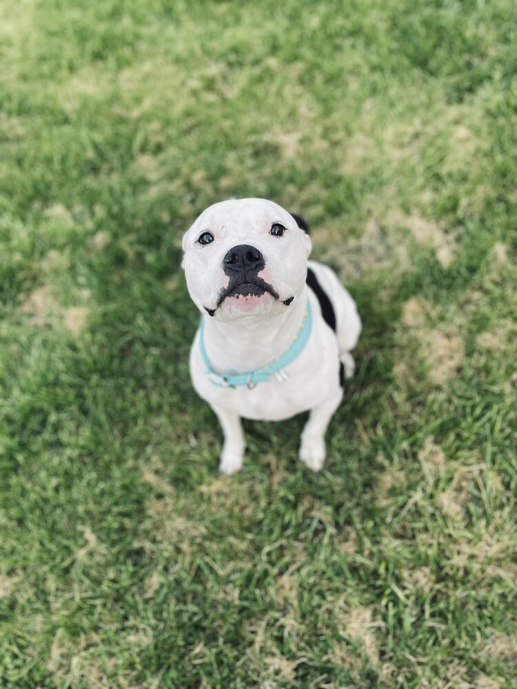 Charlie