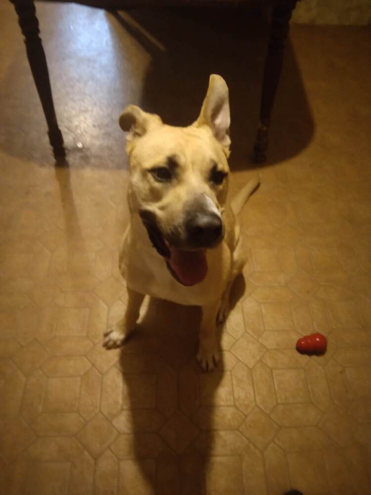 Ricardo