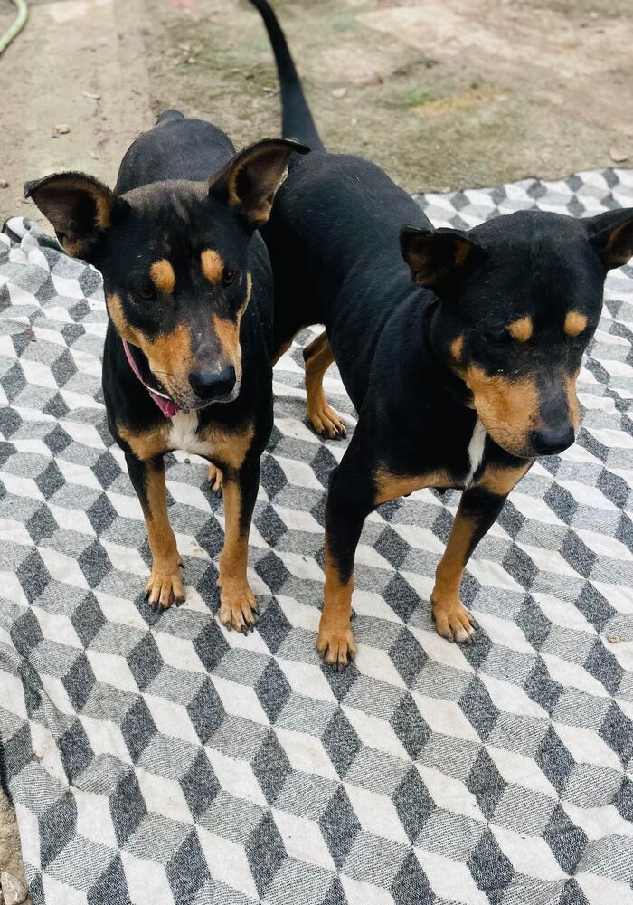 Ruth and Raya