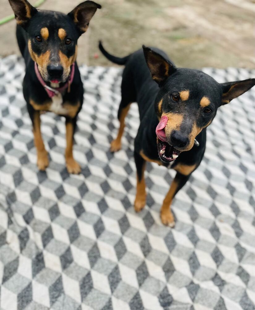 Ruth and Raya