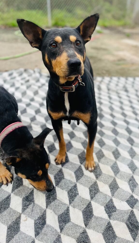 Ruth and Raya