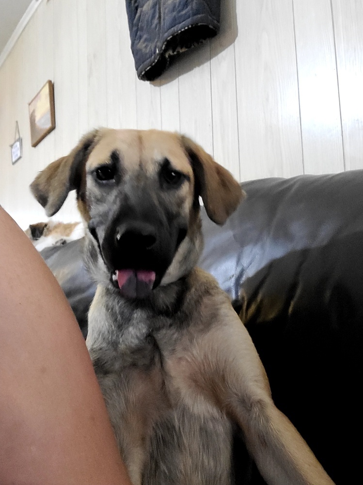 Tucker
