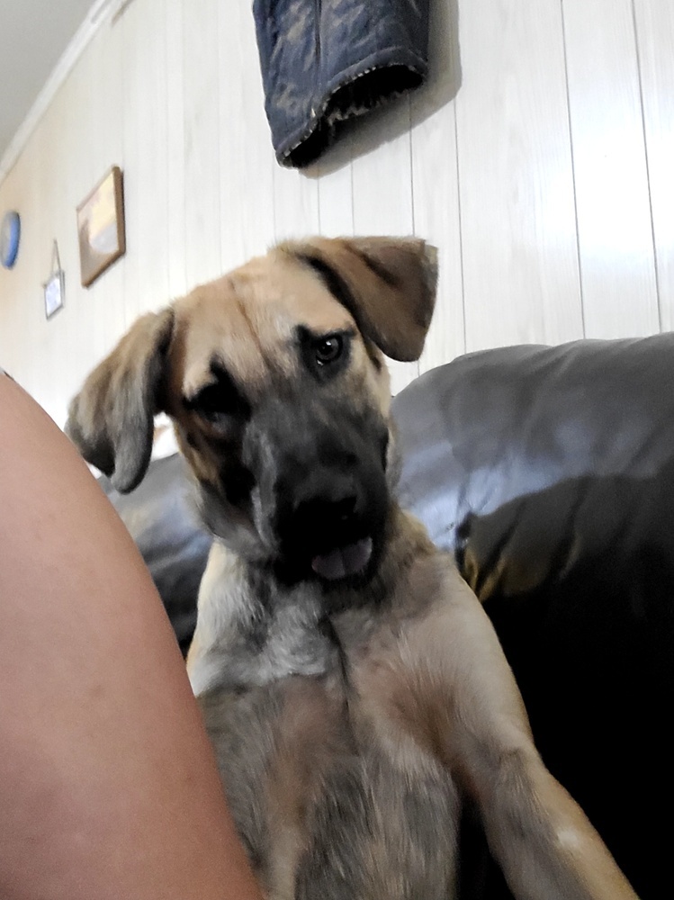 Tucker