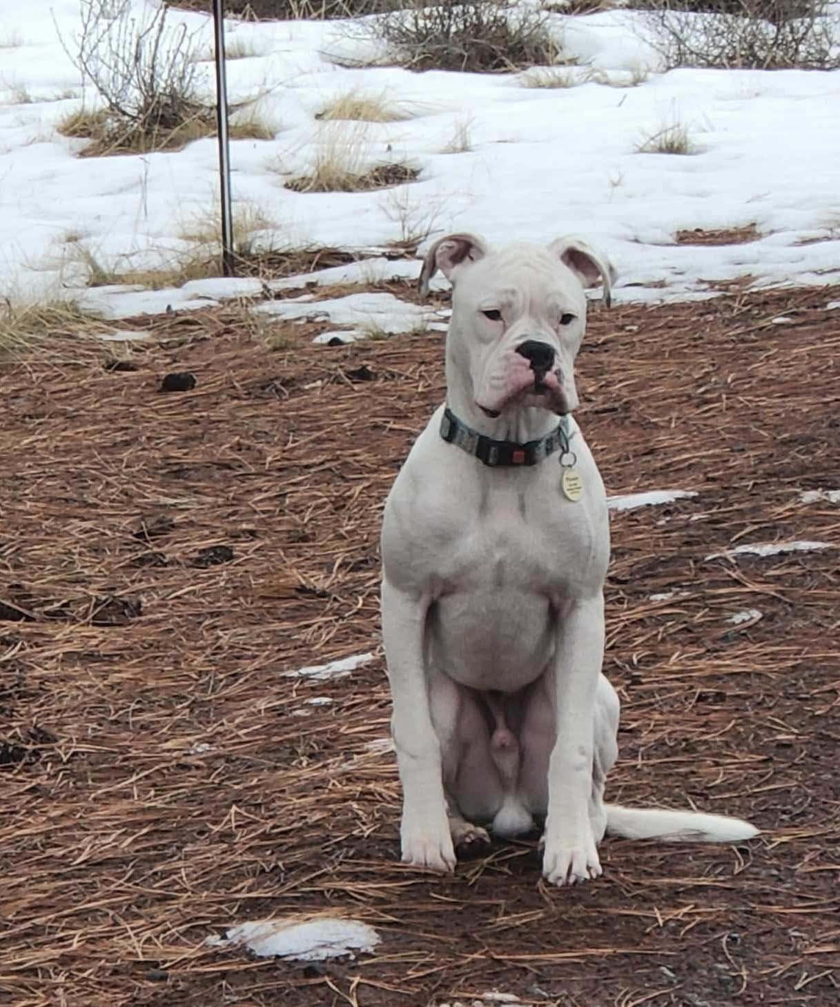 Finley