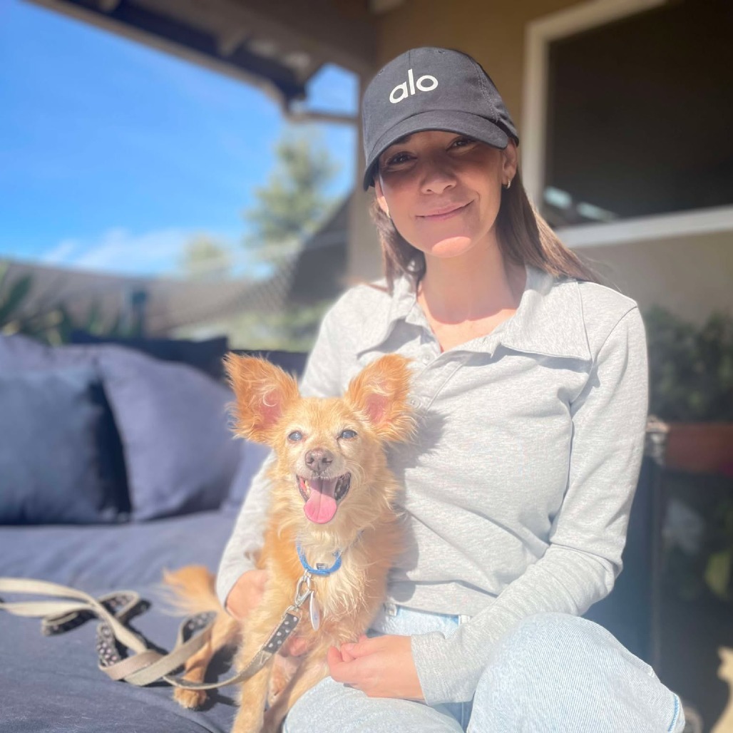 Byte, an adoptable Pomeranian in Ramona, CA, 92065 | Photo Image 2