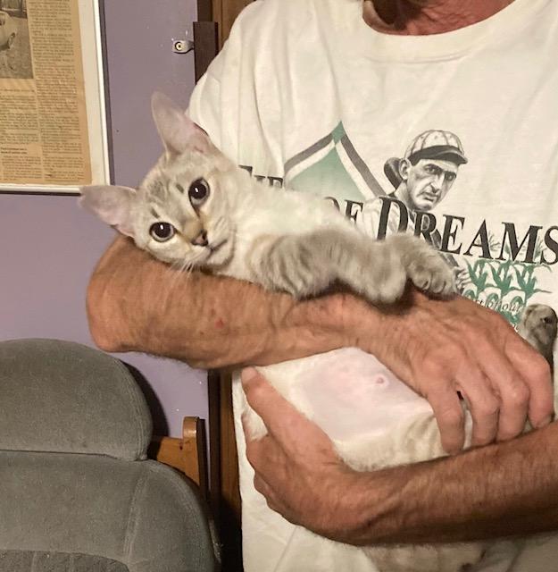 Mochacino bonded with Peach