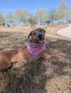 Teagan photo 3