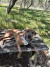 Teagan photo 4