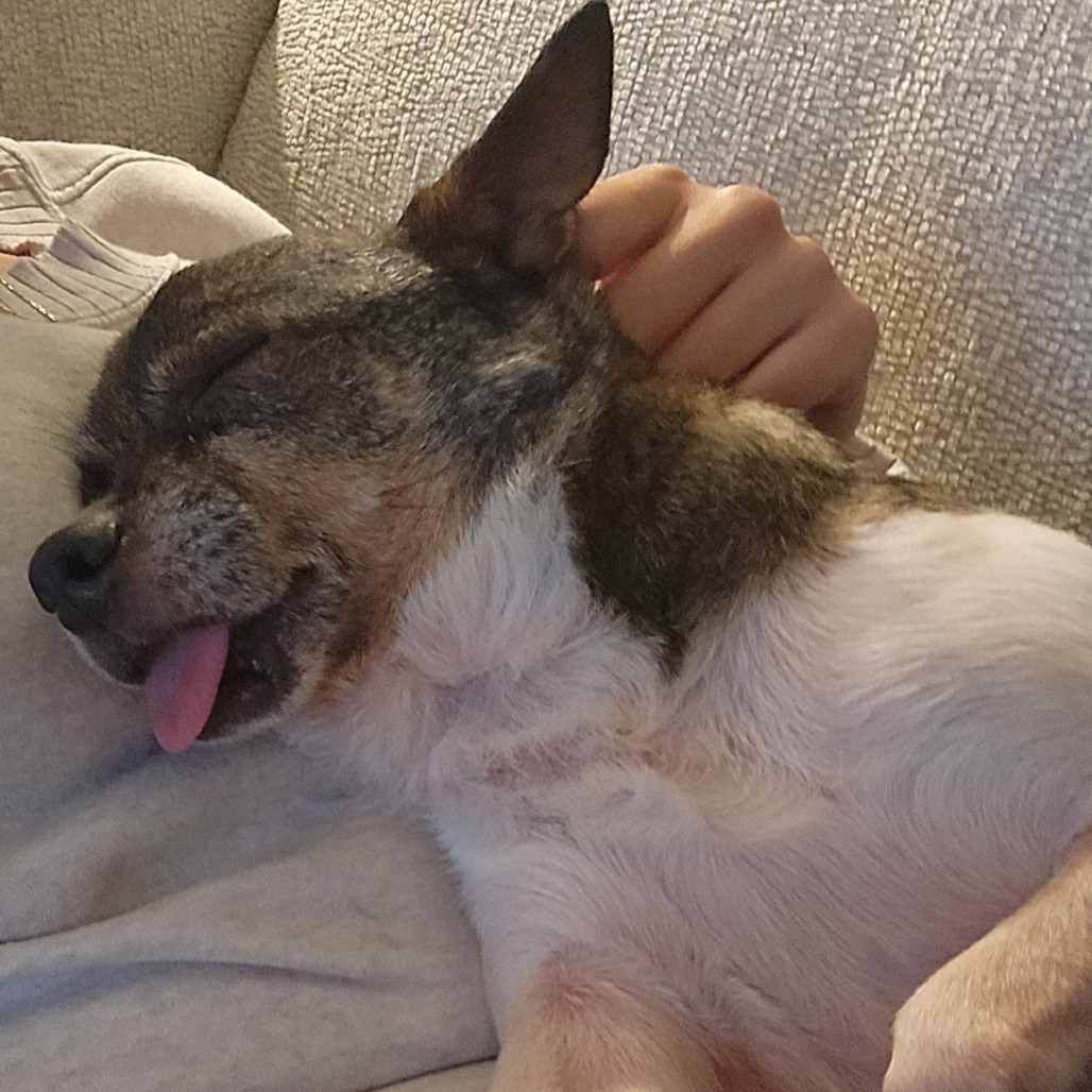 Baxter
