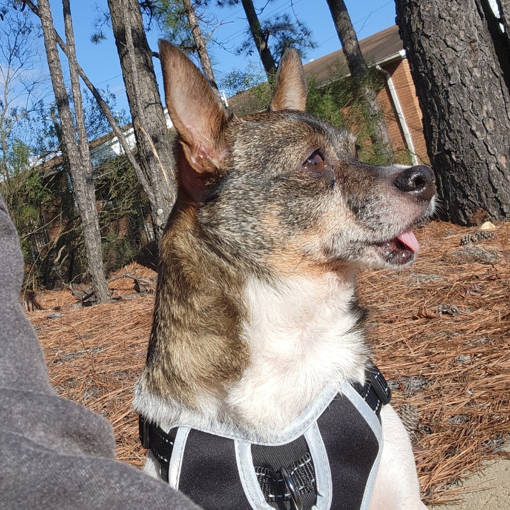 Baxter
