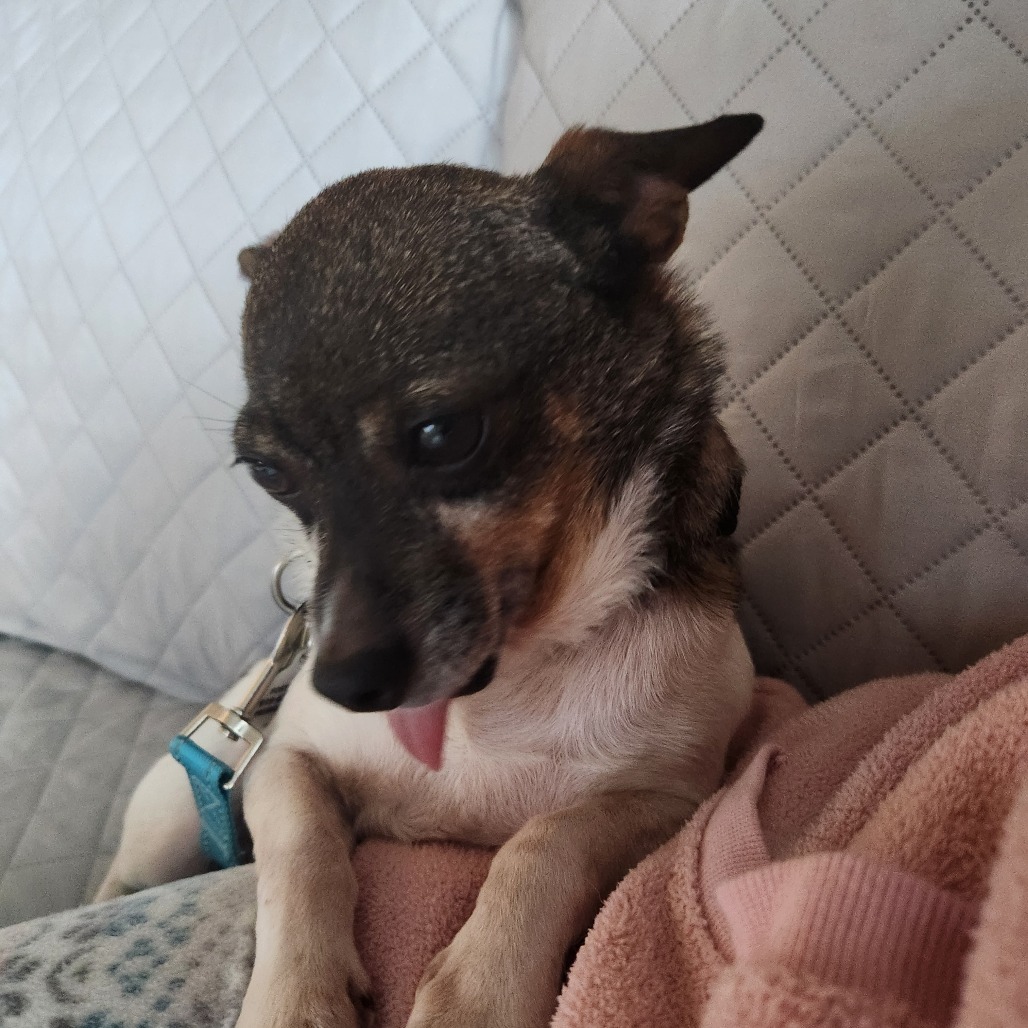 Baxter