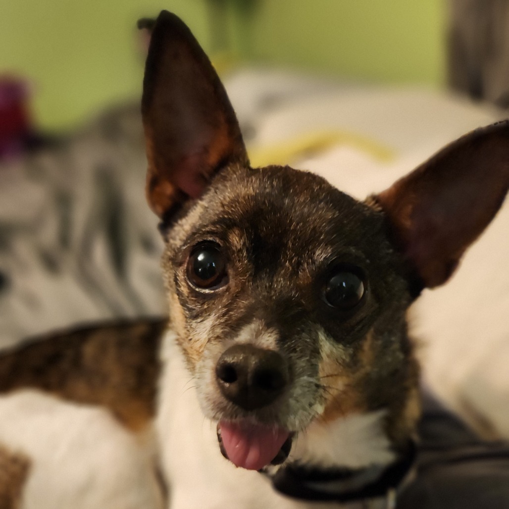 Baxter