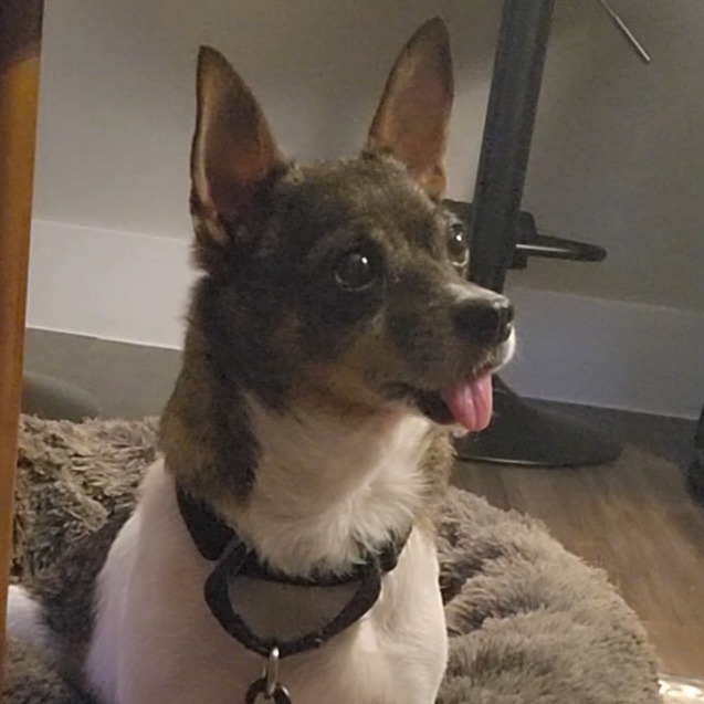 Baxter