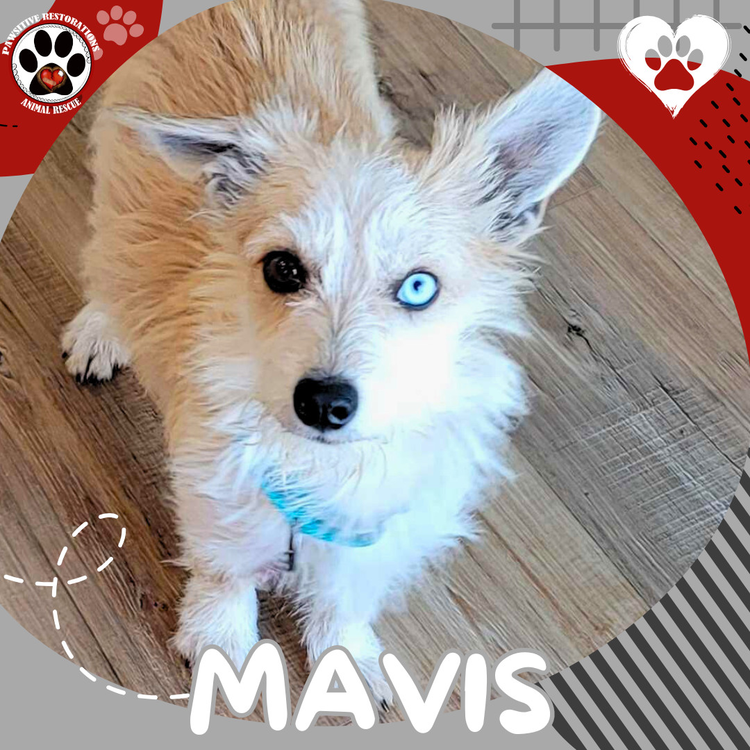 MAVIS