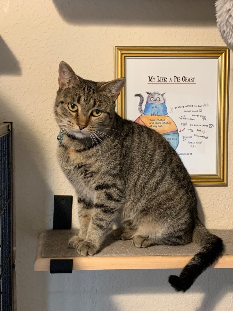 Mama Rosie