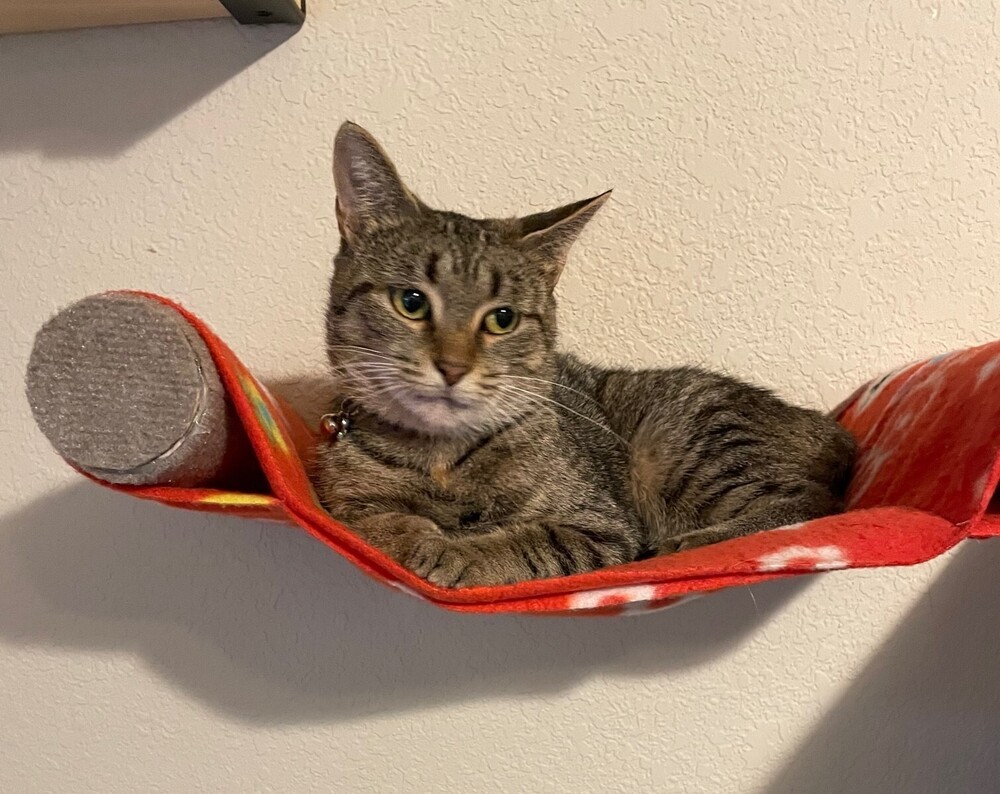 Mama Rosie