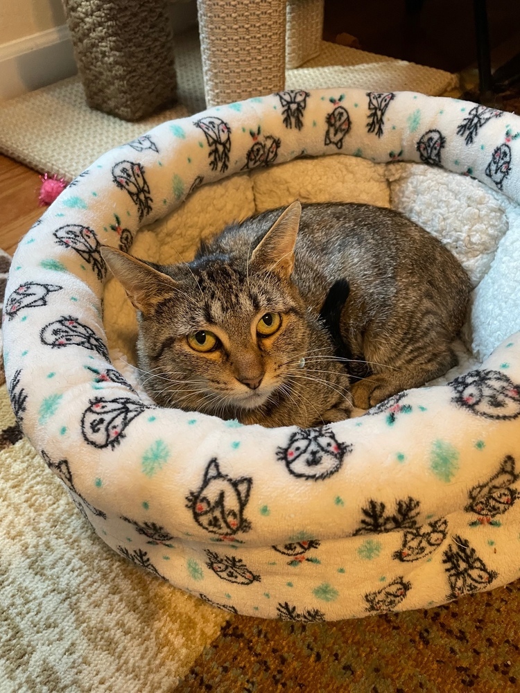 Mama Rosie