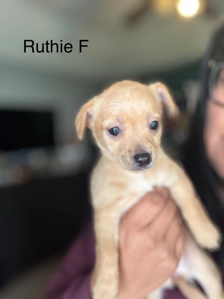 Ruthie