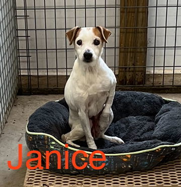 Janice*