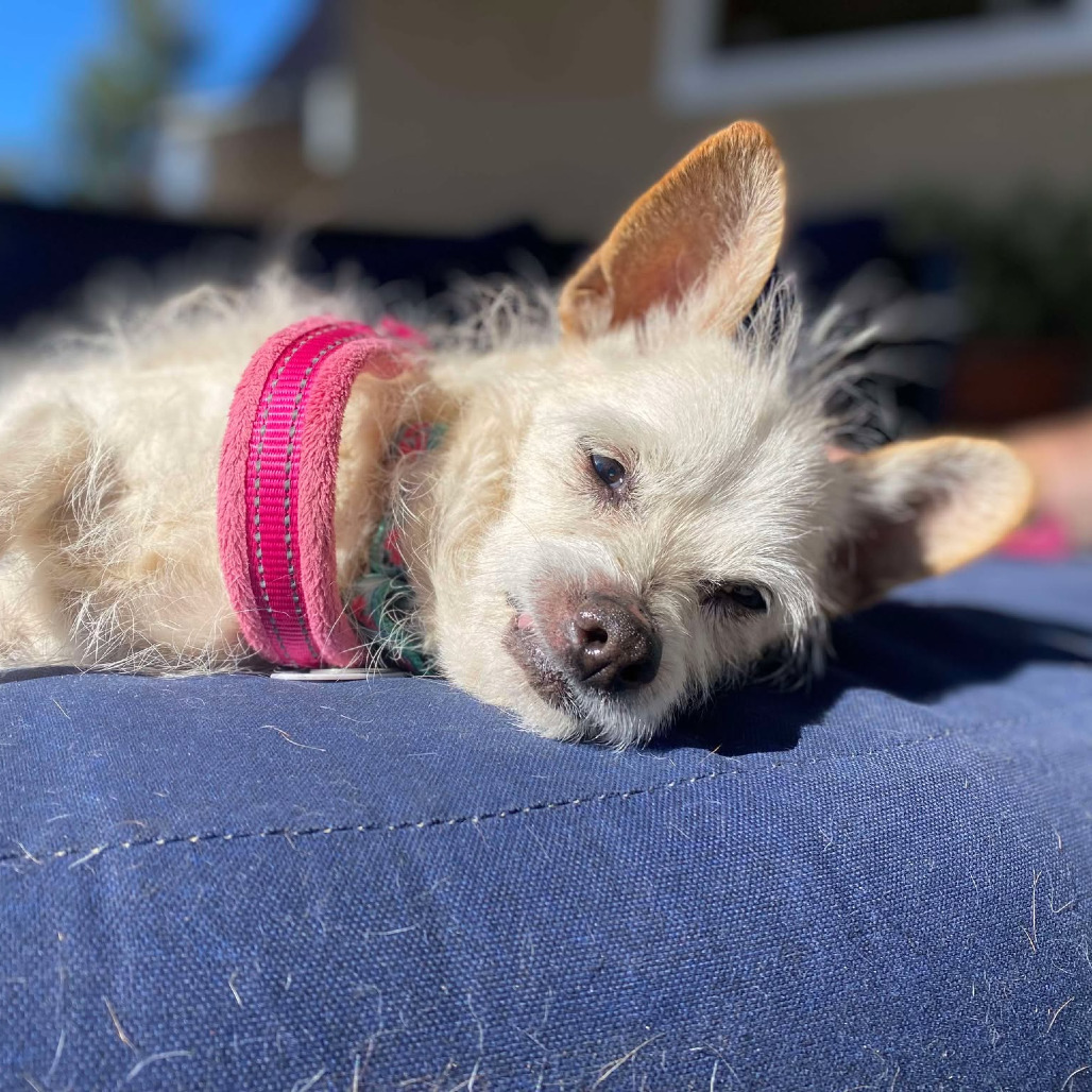 Wilma Louise
