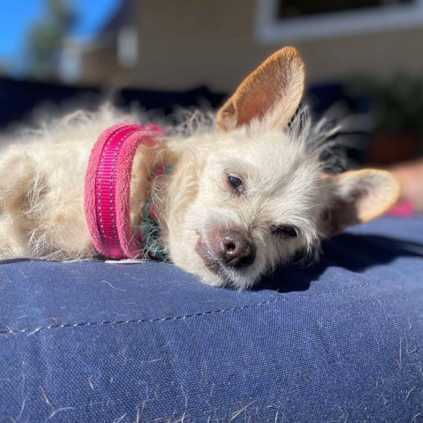 Wilma Louise thumbnail 2