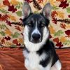 Axel photo 1