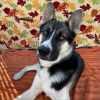 Axel photo 3