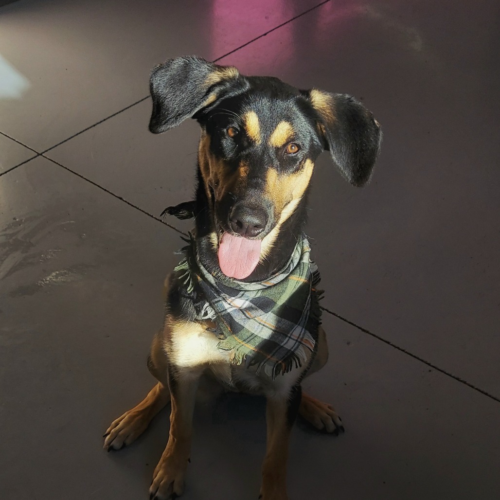 Maggie Mae