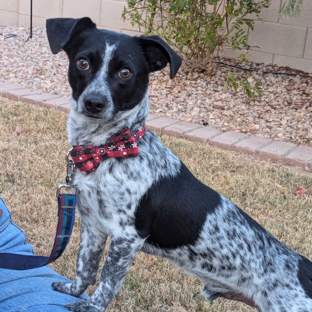 Sammie
