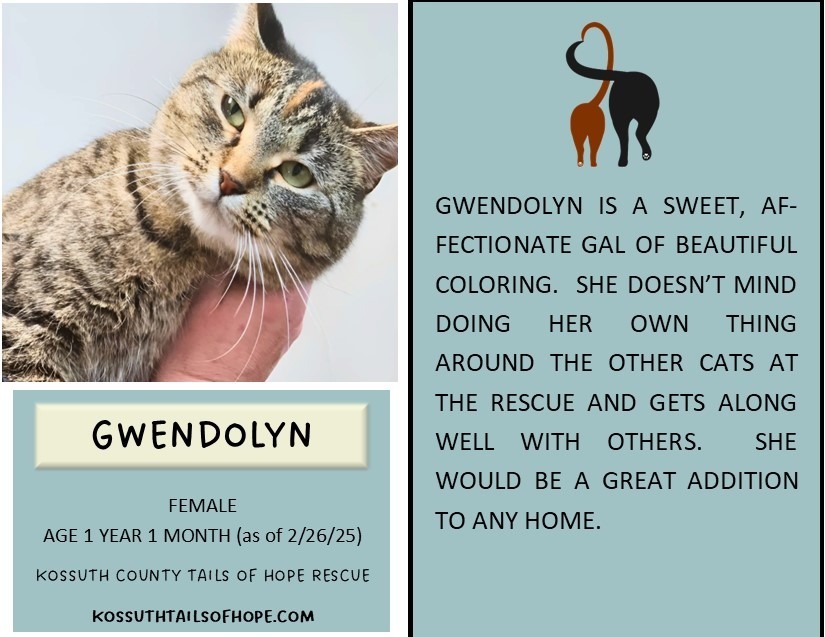 Gwendolyn