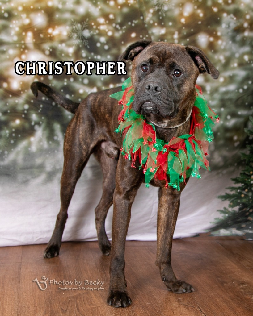 Christopher