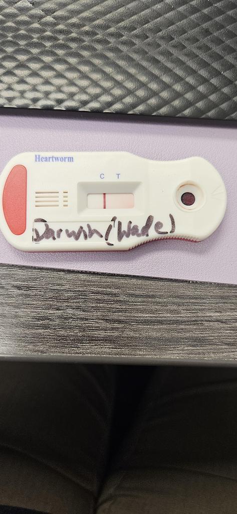 Darwin (Wade)