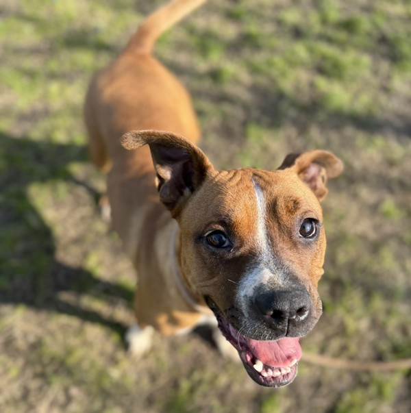 Fiona