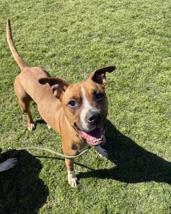 Fiona