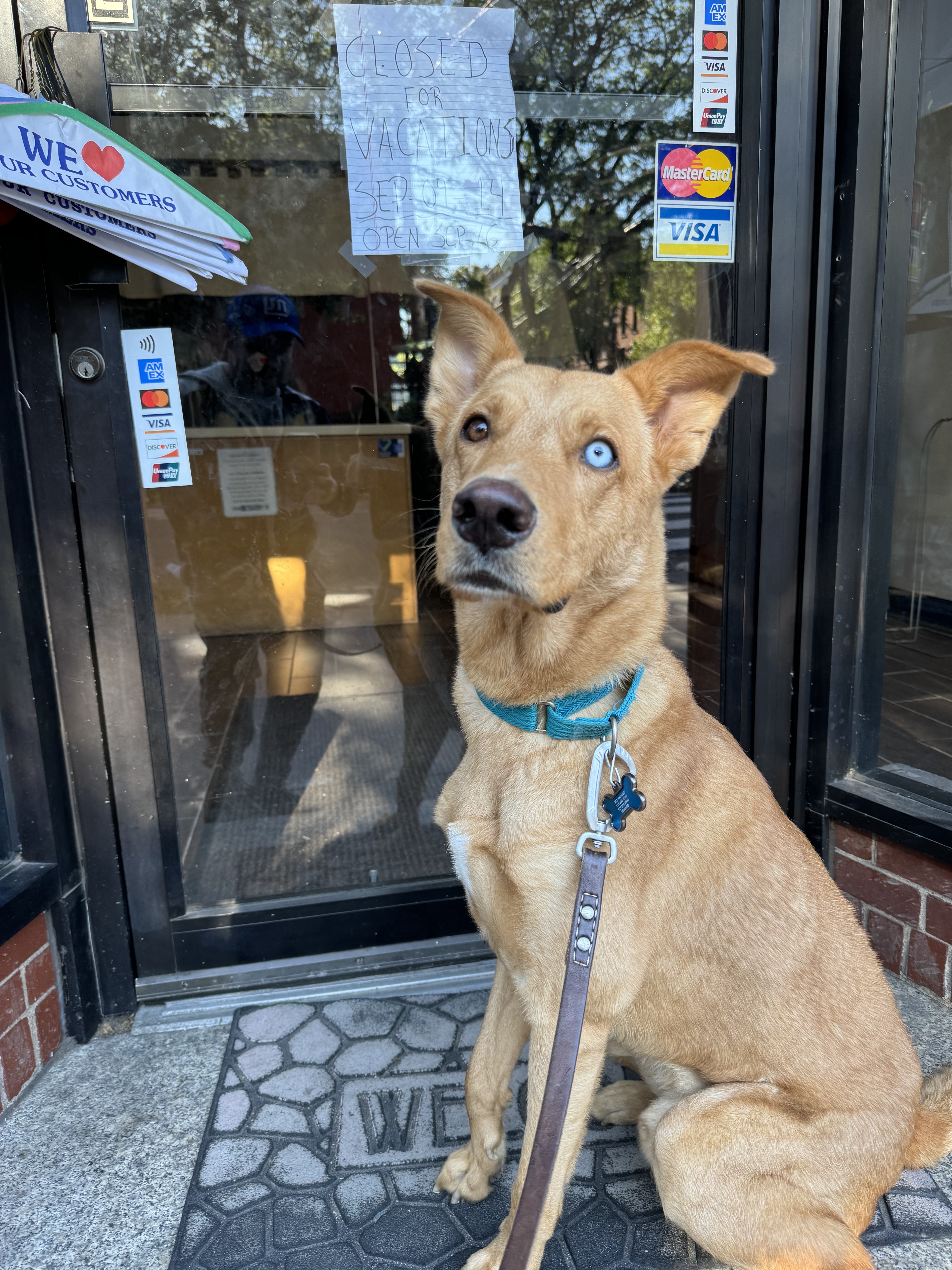 Bleu - Courtesy Post