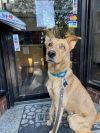 Bleu - Courtesy Post photo 2