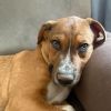 Ziti photo 4