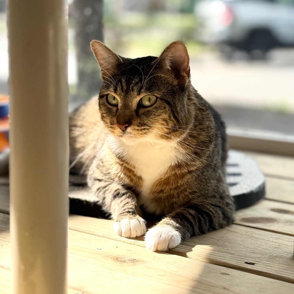 Flossie
