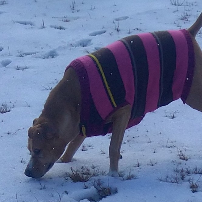 Roxy