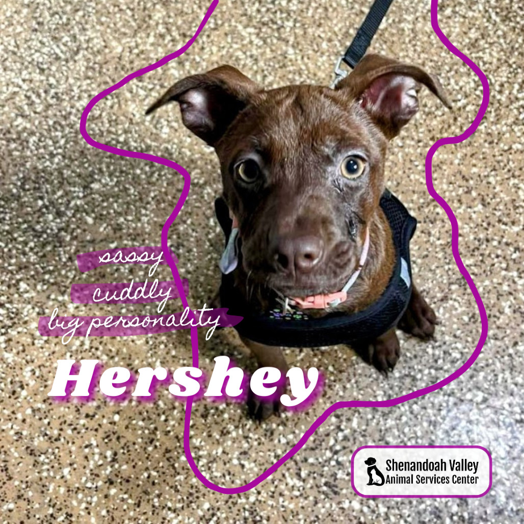 Hershey